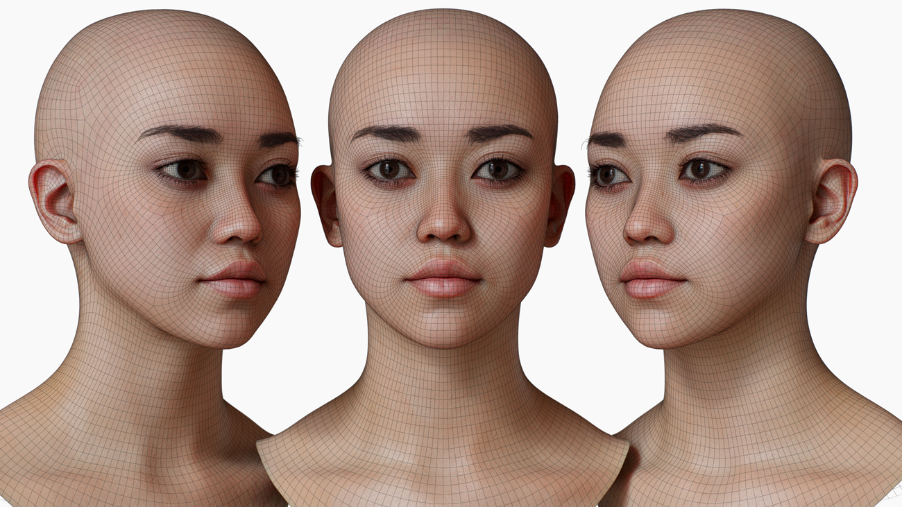 head model wireframe mesh